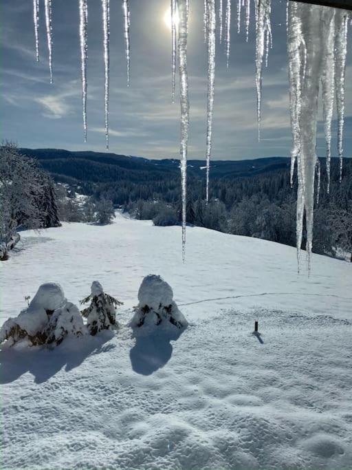 Appartement Lumineux Avec Vue Sur Les Montagnes Morbier Exterior photo